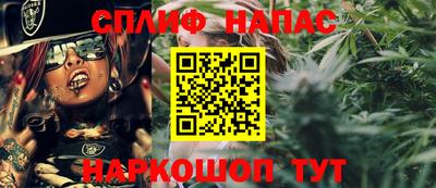 PSILOCYBIN Бугуруслан